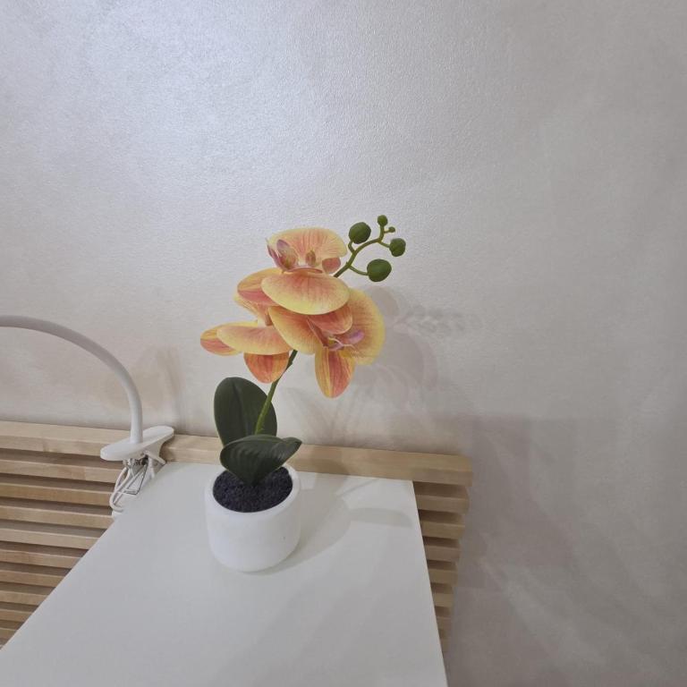 Crociferi Home di Agata e Aurora - Appartamento con 1 Camera da Letto - 27
