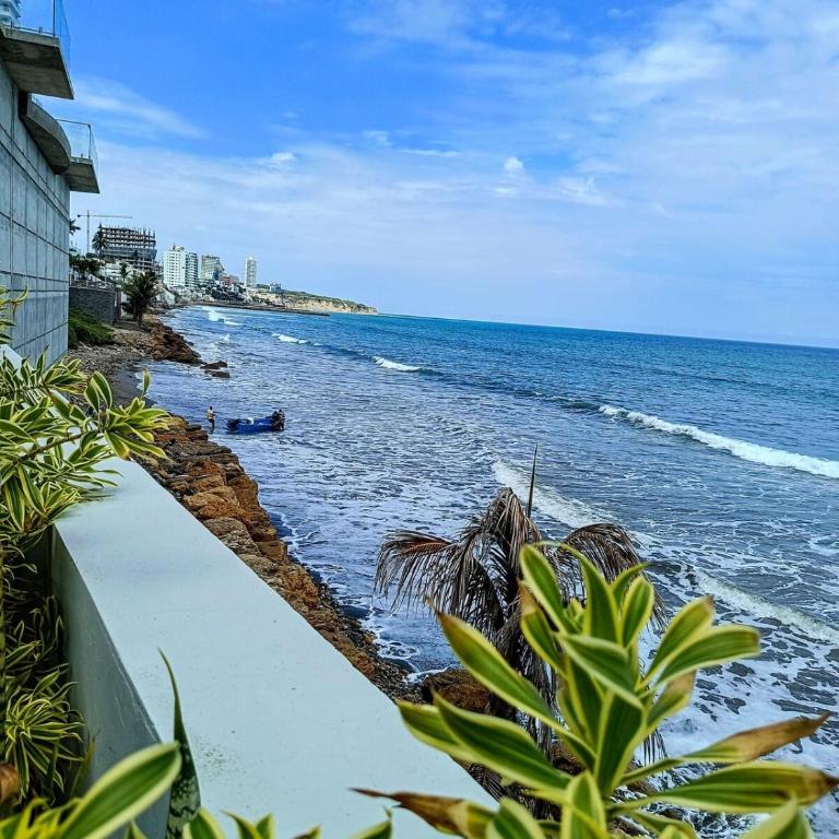 Apartamento con Salida Privada a Playa Murciélago - One-Bedroom Apartment - 5