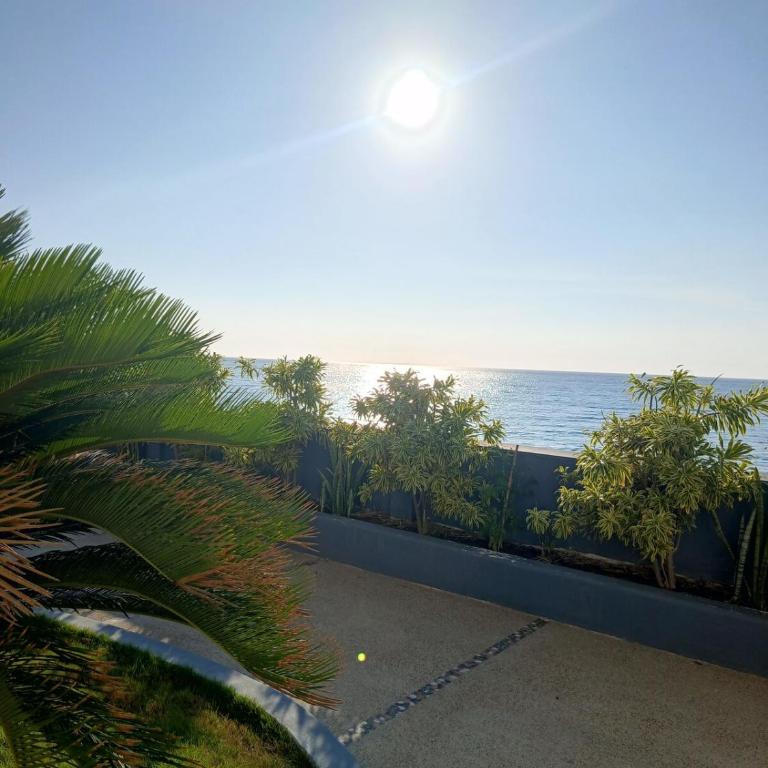 Apartamento con Salida Privada a Playa Murciélago - One-Bedroom Apartment - 15