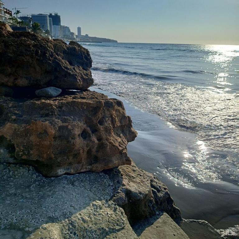 Apartamento con Salida Privada a Playa Murciélago - One-Bedroom Apartment - 22