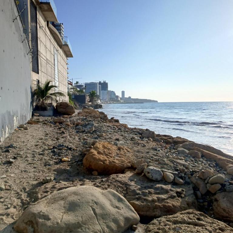 Apartamento con Salida Privada a Playa Murciélago - One-Bedroom Apartment - 33