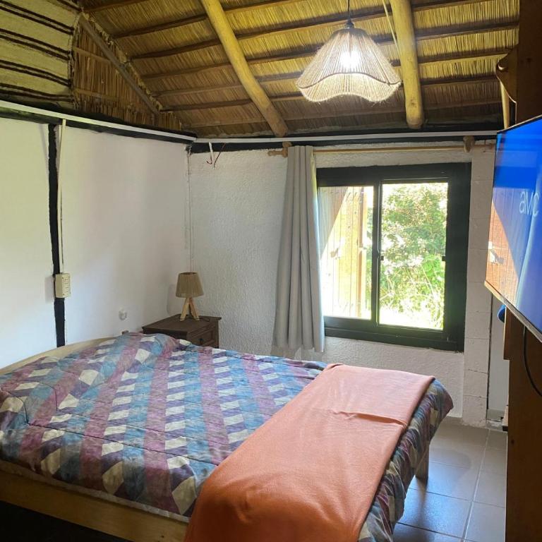 Buena Vida - Casa de 3 dormitorios - 7