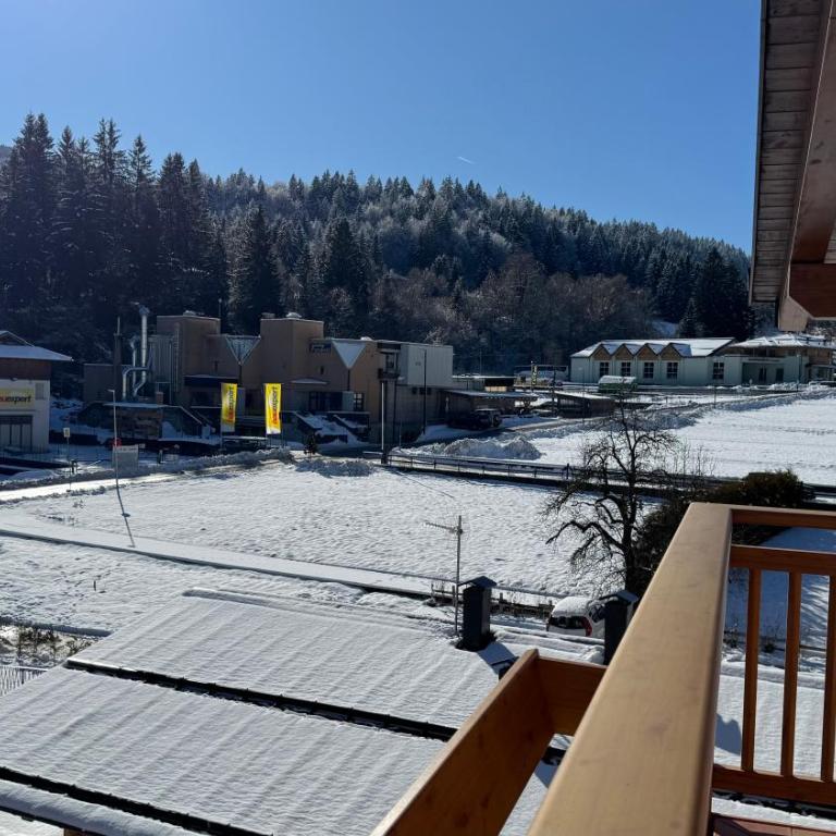 Bilocale baciato dal sole in centro ad Andalo - Appartamento con 1 Camera da Letto - 10