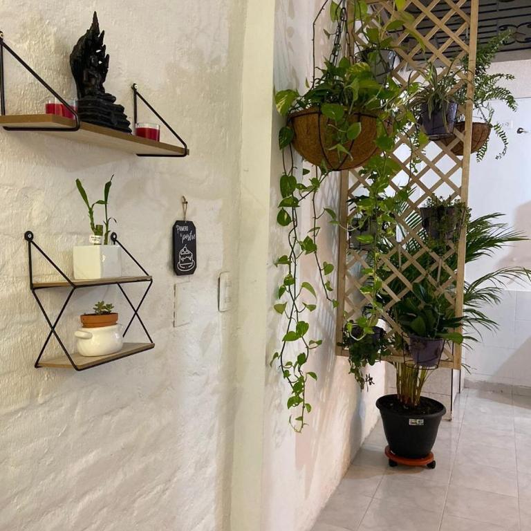 Caney Traveller House - One-Bedroom Apartment - 7