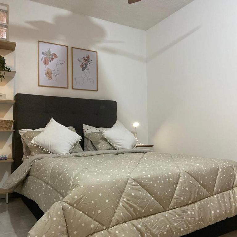 Caney Traveller House - One-Bedroom Apartment - 9