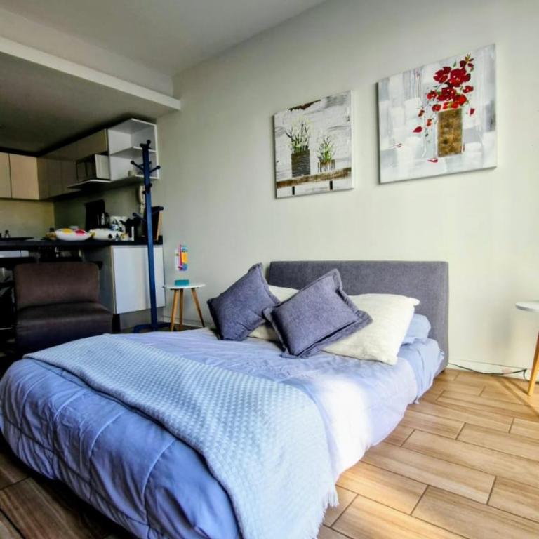 Beatiful Apartment 10 minutes walking to Mexico Downtown - Apartment mit 1 Schlafzimmer - 10