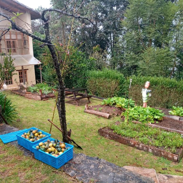 Oasis en San Cristobal - Haus mit 2 Schlafzimmern - 6