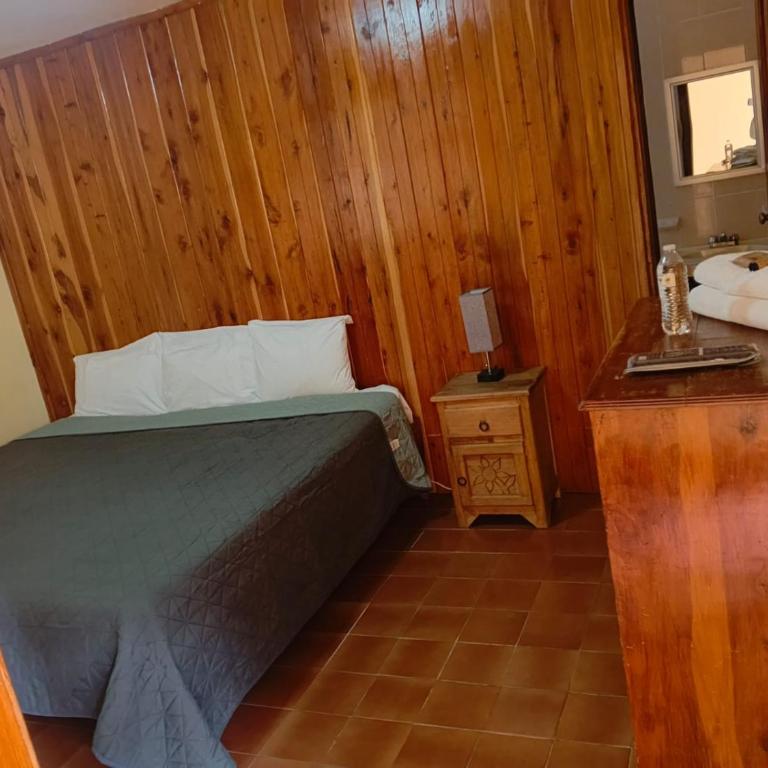 San Cristobal Bleisure Hotel Centro - Habitación Estándar - 1 cama grande - 9