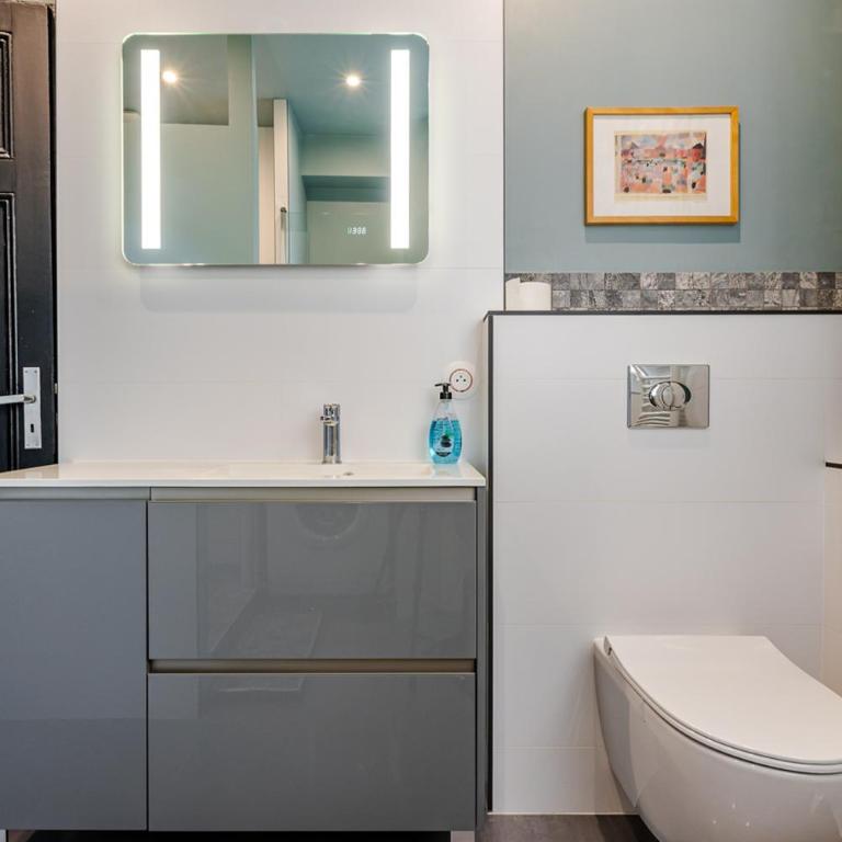 La belle Strasbourgeoise - Appartement - 15
