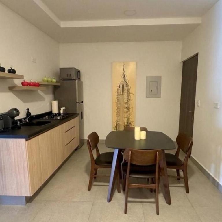 Moderno Depto. Centrico/parking - Apartment - 12