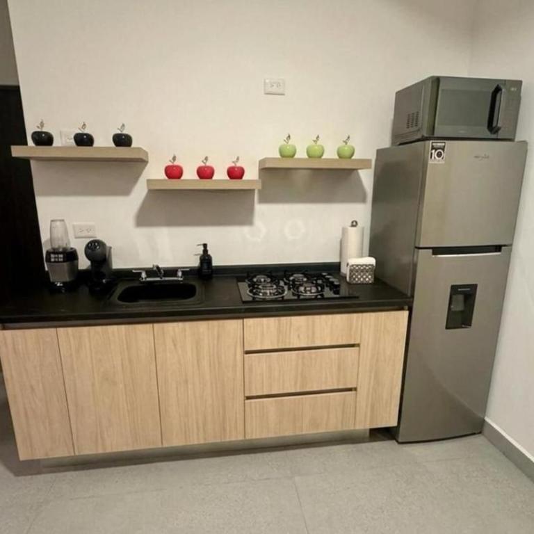 Moderno Depto. Centrico/parking - Apartment - 30