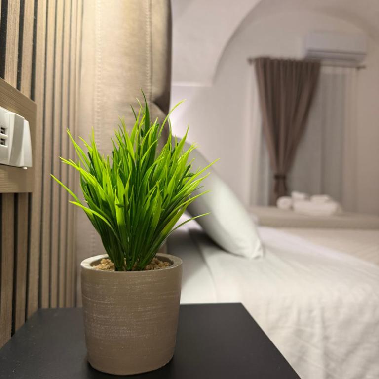 Al Fiko Suite - Appartamento con 2 Camere da Letto - 1