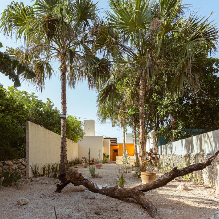 Casa Naranjo, La Ermita - Maison 3 Chambres - 17