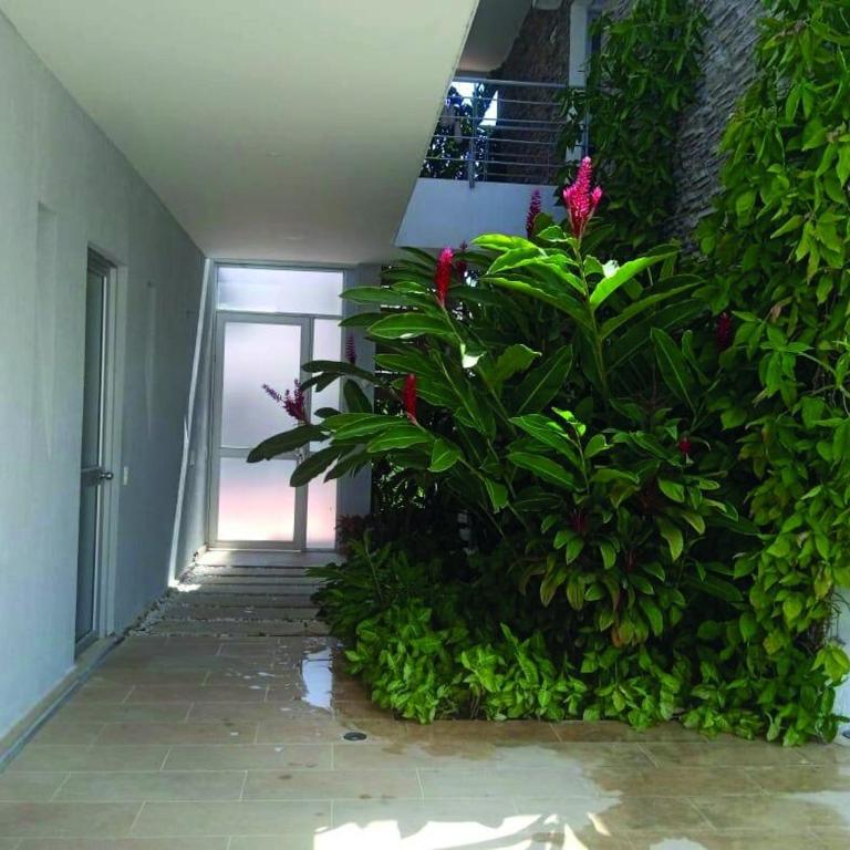 Casa Portal Dreams - One-Bedroom House - 45