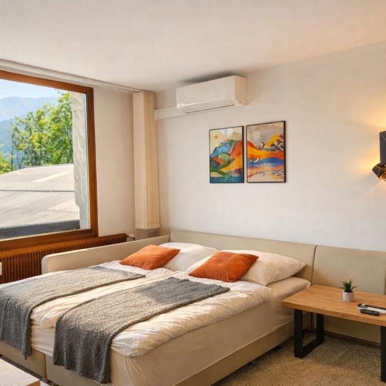Mountain Lake Suite - One-Bedroom Apartment - 55