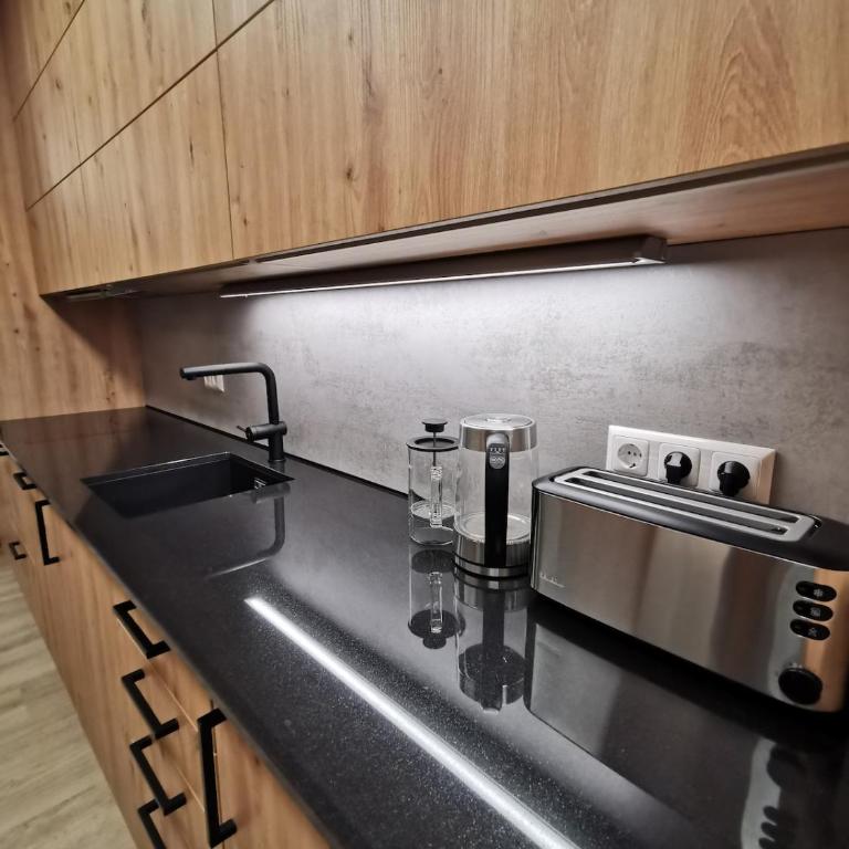 Mountain Lake Suite - One-Bedroom Apartment - 45