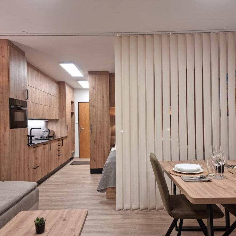 Mountain Lake Suite - One-Bedroom Apartment - 41