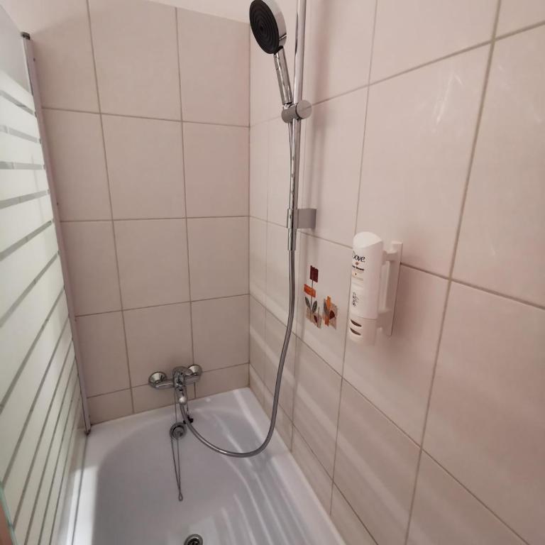 Mountain Lake Suite - One-Bedroom Apartment - 28