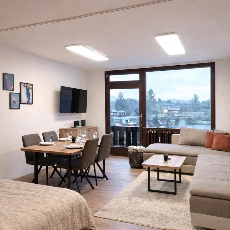 Mountain Lake Suite - One-Bedroom Apartment - 16