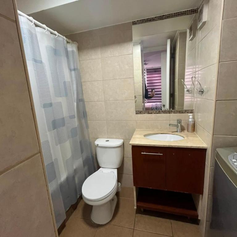 Argomedo con Santa Isabel, Centro Santiago - One-Bedroom Apartment - 4