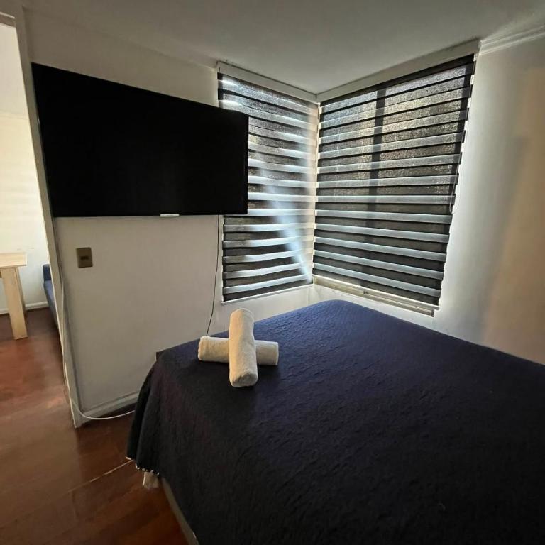 Argomedo con Santa Isabel, Centro Santiago - One-Bedroom Apartment - 7