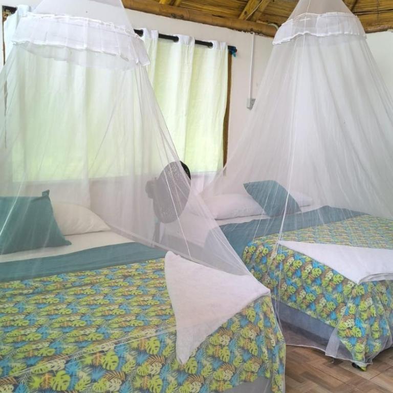 Magic Green Dentro del Parque Tayrona - Habitación Cuádruple con vistas a la montaña - 5