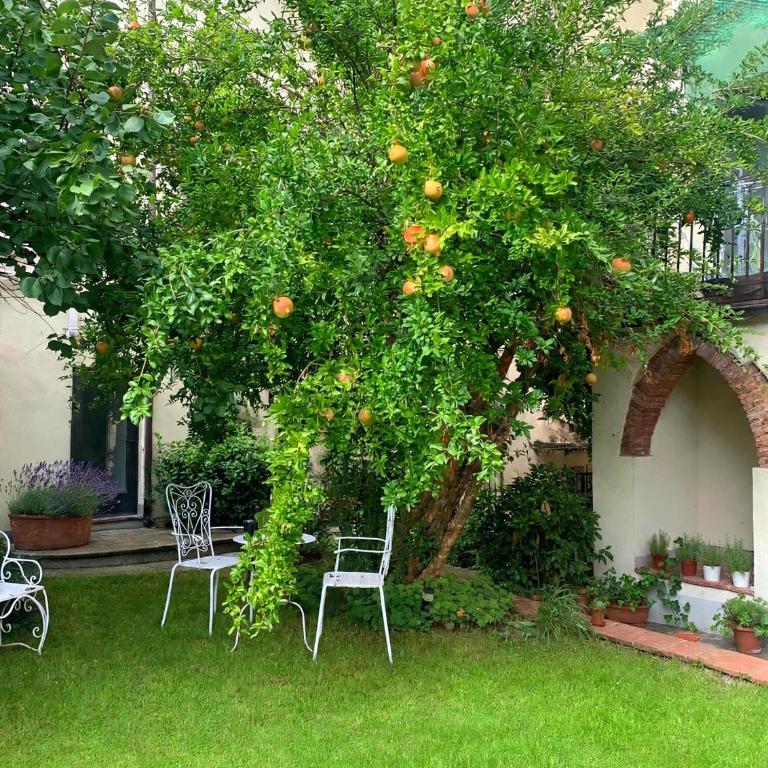 Casa Gori - Monolocale con Vista Giardino - 14