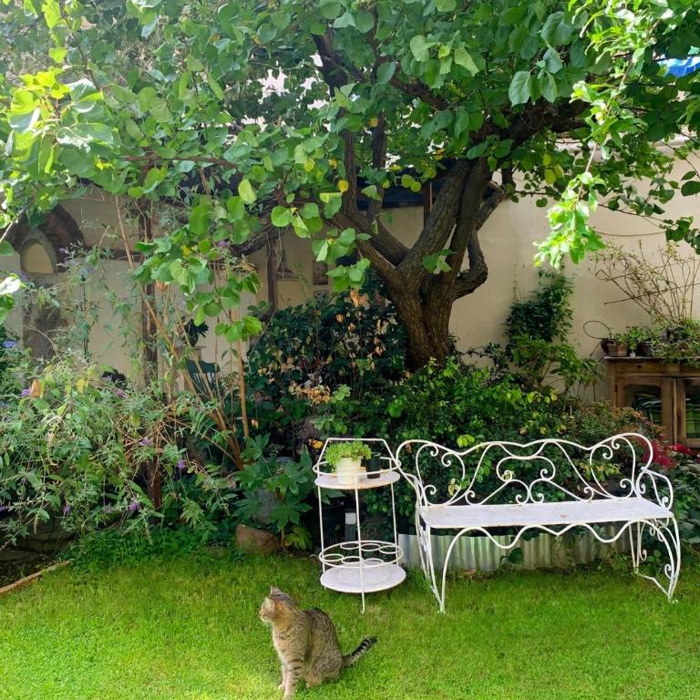 Casa Gori - Monolocale con Vista Giardino - 15