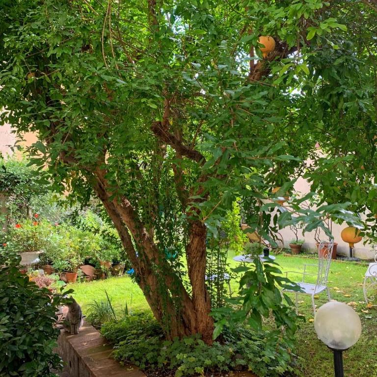 Casa Gori - Monolocale con Vista Giardino - 17
