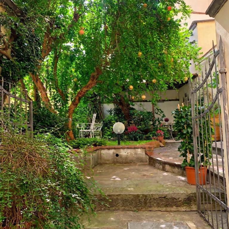 Casa Gori - Monolocale con Vista Giardino - 20
