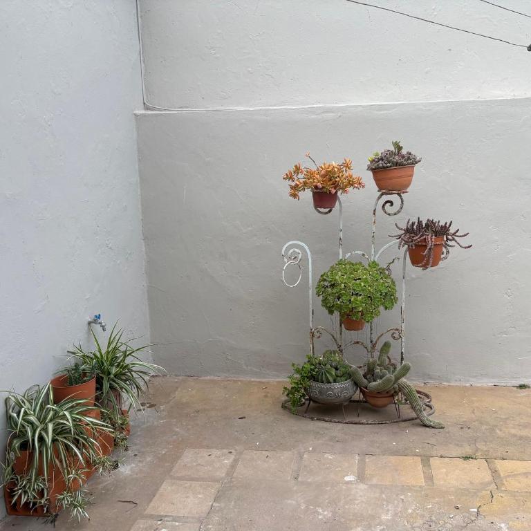 Lo de Mingo - Casa de 2 dormitorios - 9