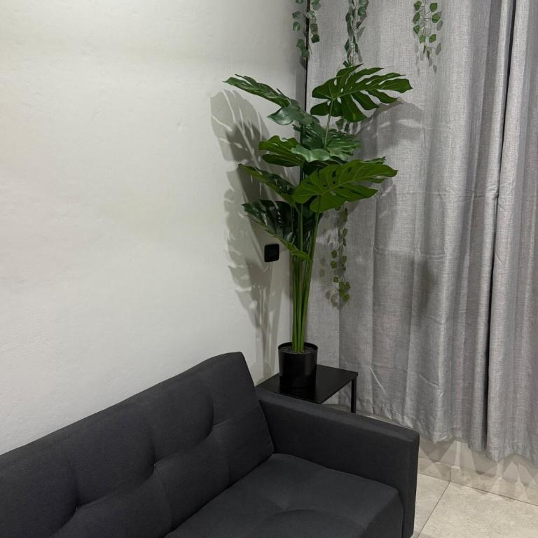 Casa Vianny Jalatlaco House - Two-Bedroom Apartment - 19