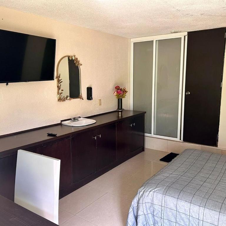 Suites Art Sonata Satélite - Habitaciones con Baño Privado - Appartement - Vue sur Jardin - 4