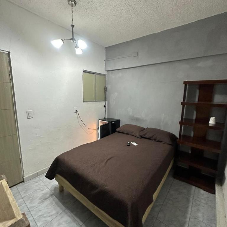 Suite Amueblada Zona Centro PB2 - Appartement 1 Chambre - 5