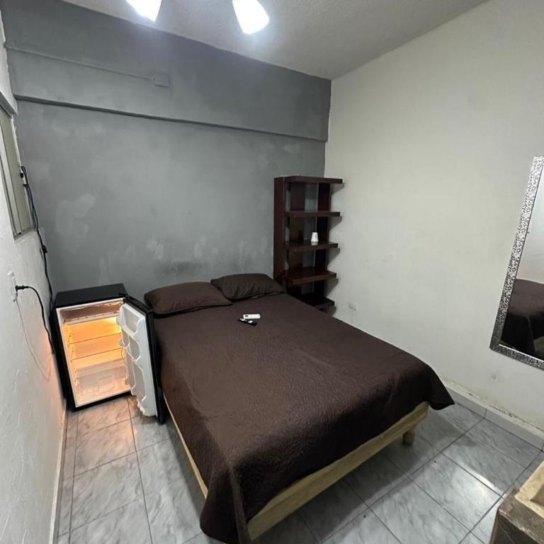 Suite Amueblada Zona Centro PB2 - Appartement 1 Chambre - 8