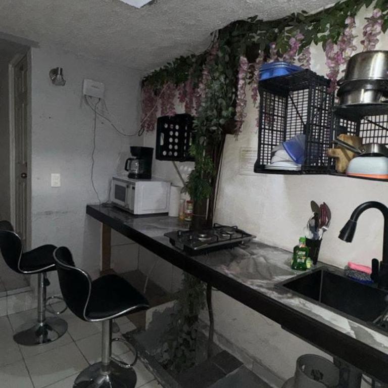 Suite Amueblada Zona Centro PB2 - Appartement 1 Chambre - 11