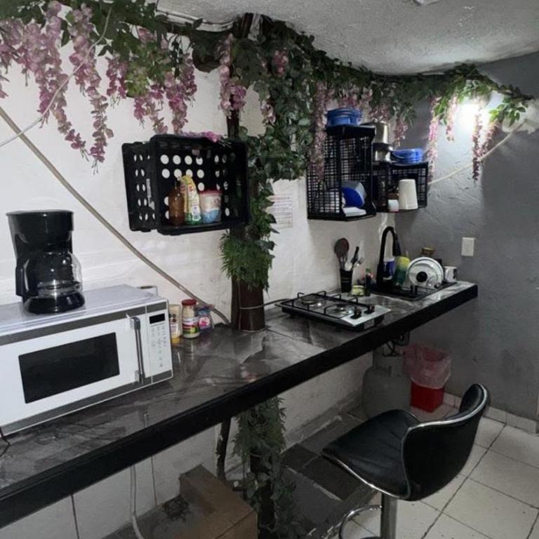 Suite Amueblada Zona Centro PB2 - Appartement 1 Chambre - 13