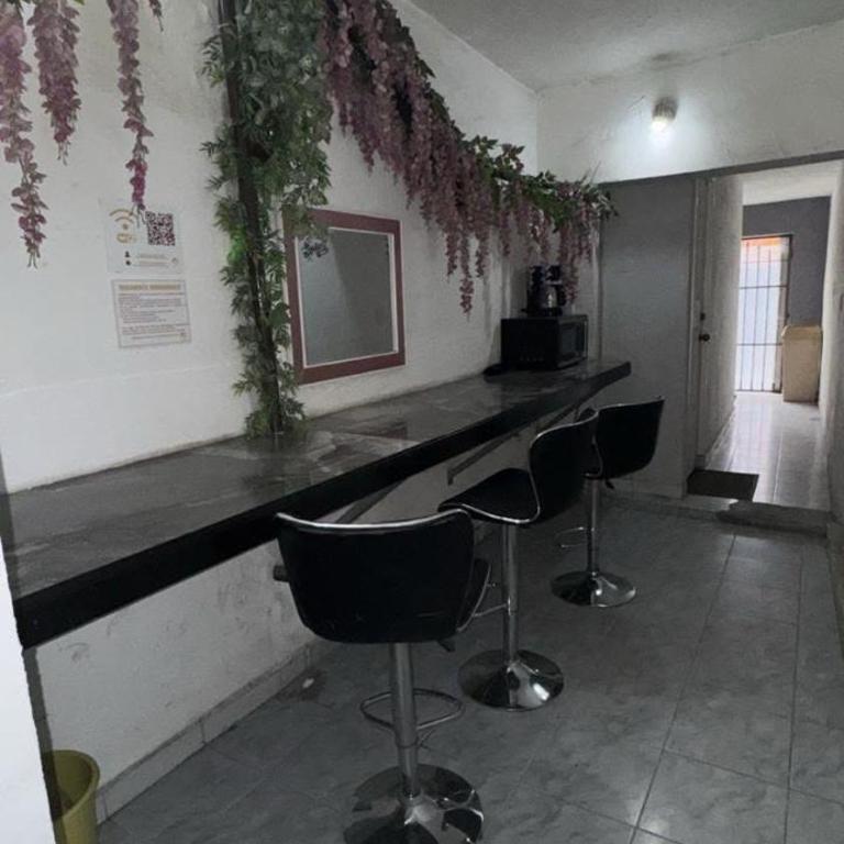 Suite Amueblada Zona Centro PB2 - Appartement 1 Chambre - 14