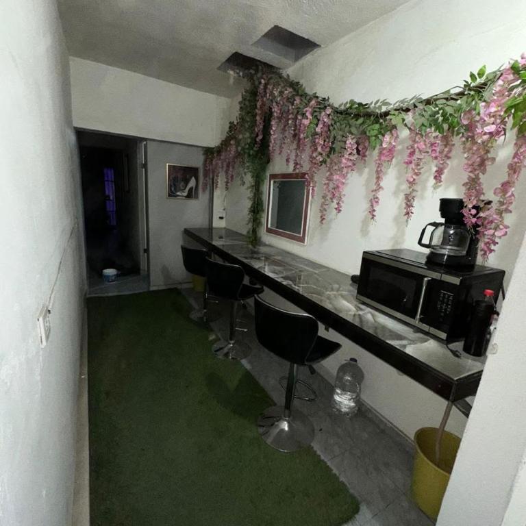 Suite Amueblada Zona Centro PB2 - Appartement 1 Chambre - 15