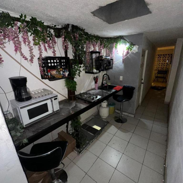 Suite Amueblada Zona Centro PB2 - Appartement 1 Chambre - 16
