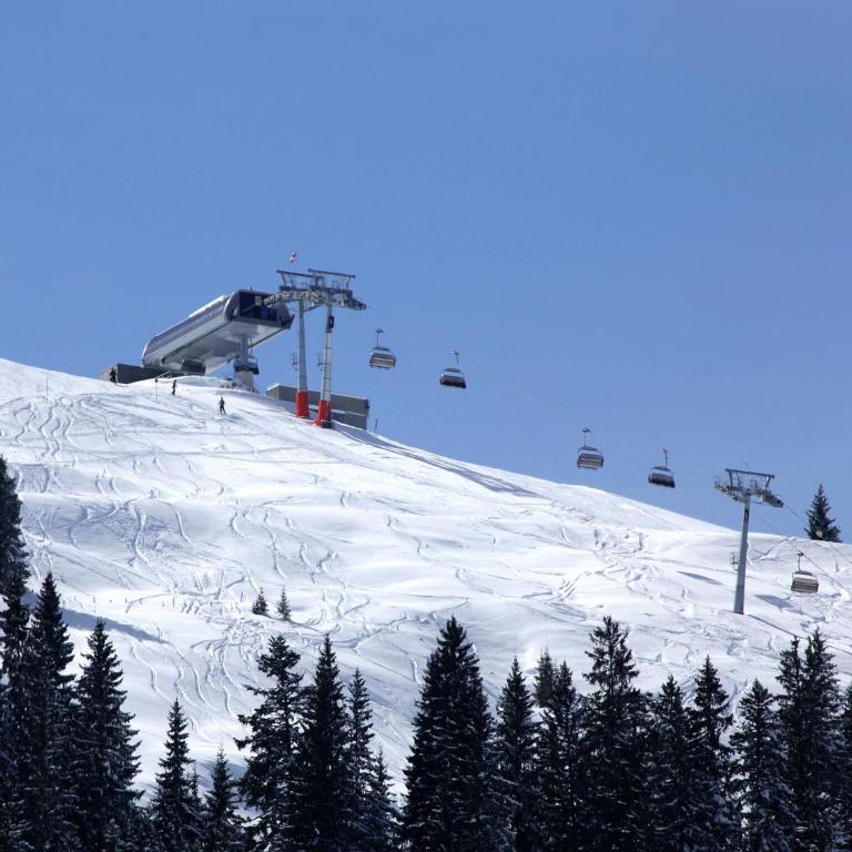 Large Apartment in Maria Alm with Terrace - Appartamento con 1 Camera da Letto - 8