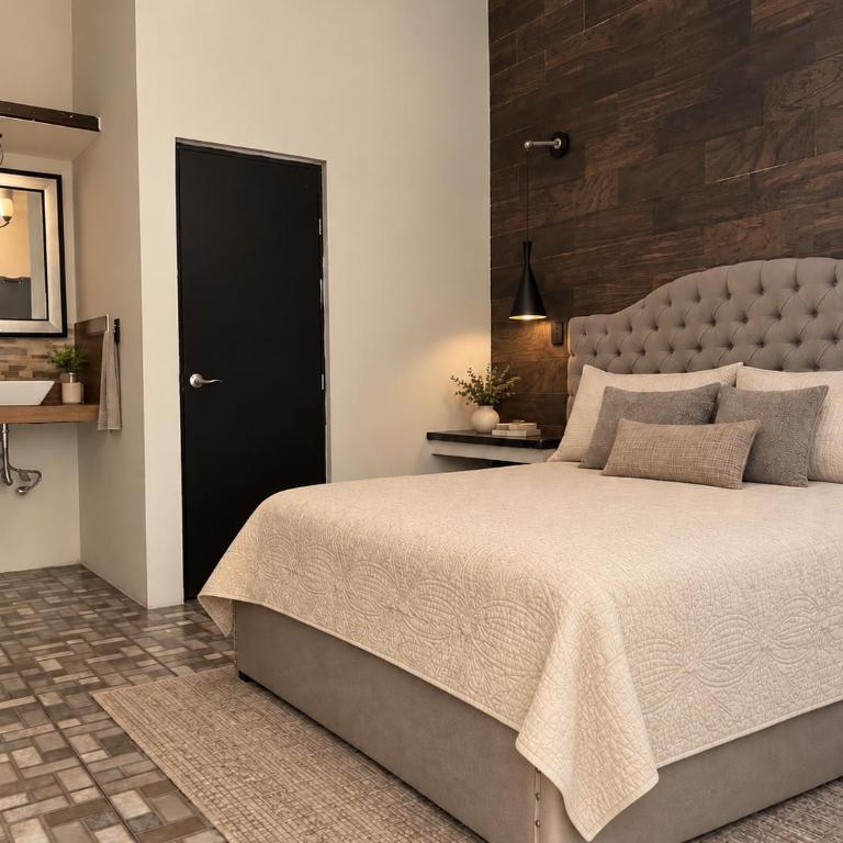 Black Tree Centro Histórico - Single Room with Private Bathroom - 1