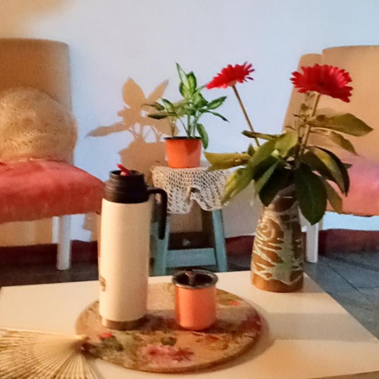 Flor de Loto - Casa con 1 dormitorio - 5