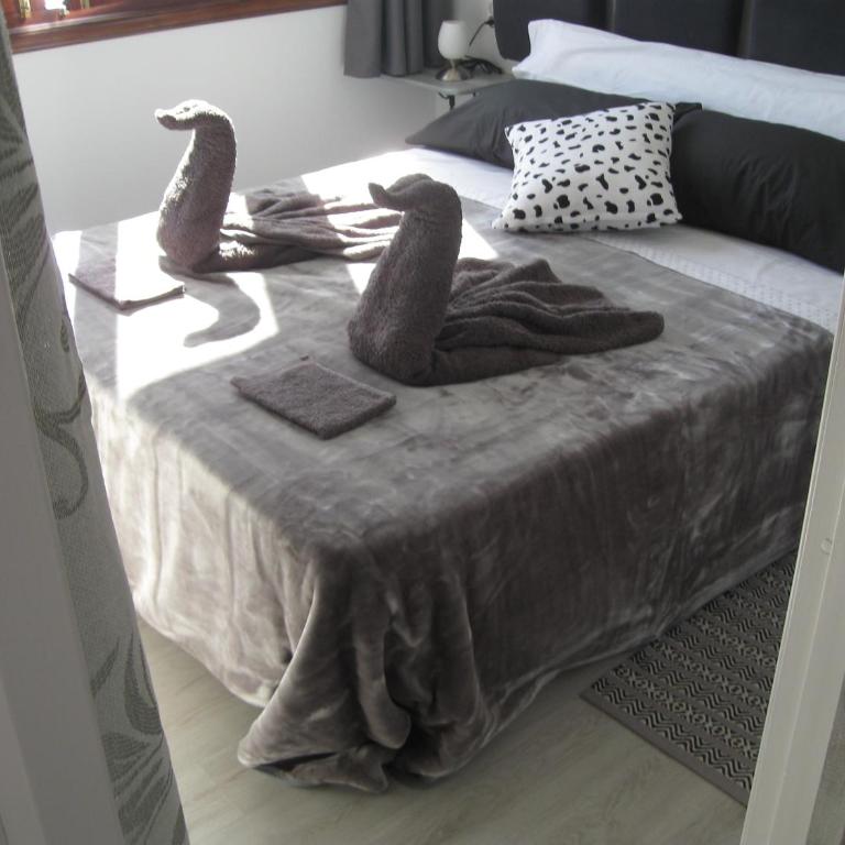 La Graciosa Apartment - Apartamento - 26