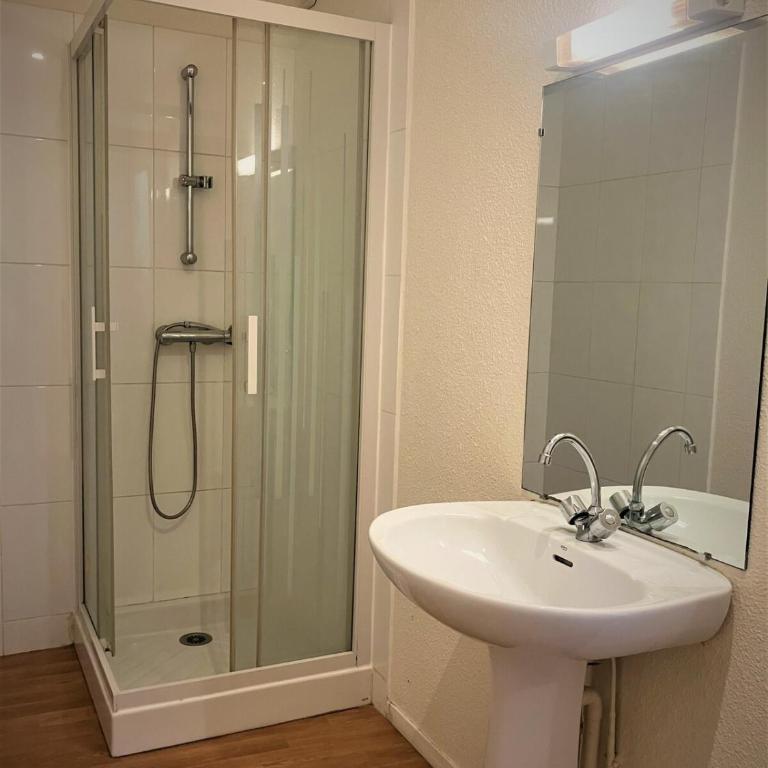 Appartement double dans le centre de Limoges - Apartamento de 1 dormitorio - 5