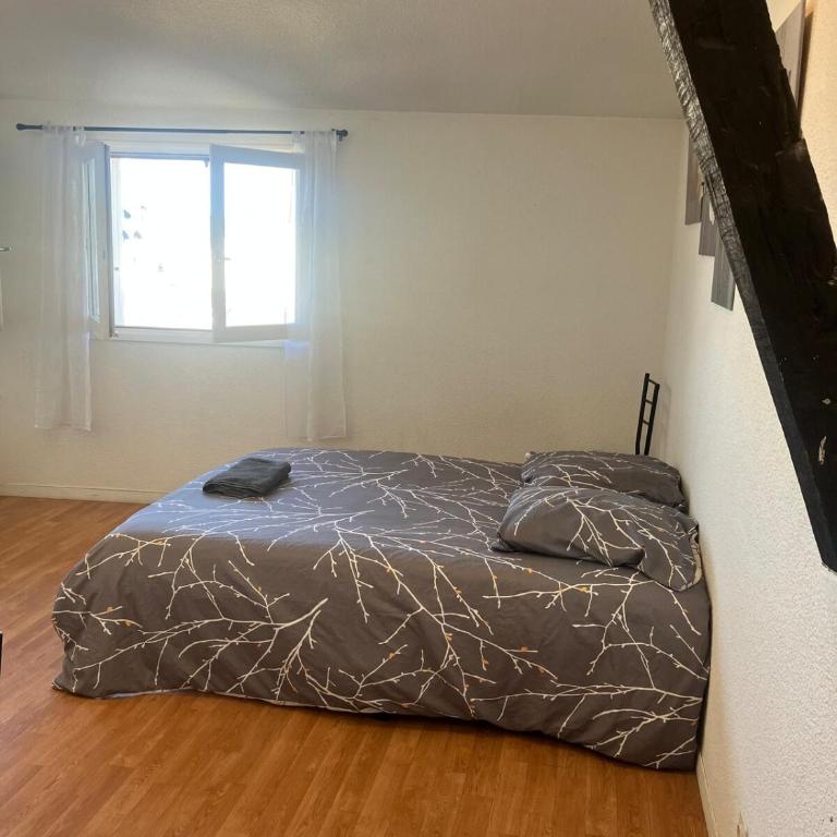 Appartement double dans le centre de Limoges - Apartamento de 1 dormitorio - 11