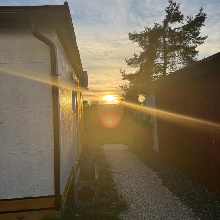 Bungalows Sonnenblume am Klopeiner See - Bungalow mit Gartenblick - 1