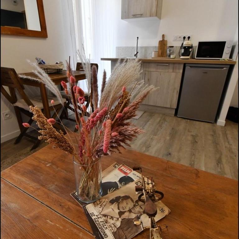 les 4 saisons - Appartement 1 Chambre avec Baignoire Spa - 6