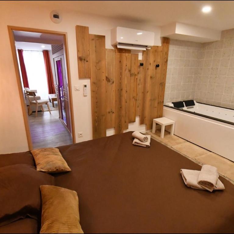 les 4 saisons - Appartement 1 Chambre avec Baignoire Spa - 8