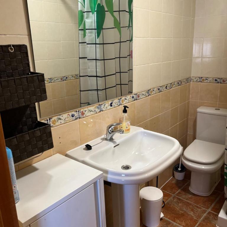 Apartamento en Marenys Gandia - Apartamento de 3 dormitorios - 5